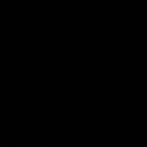 Meet your Posher, Leora